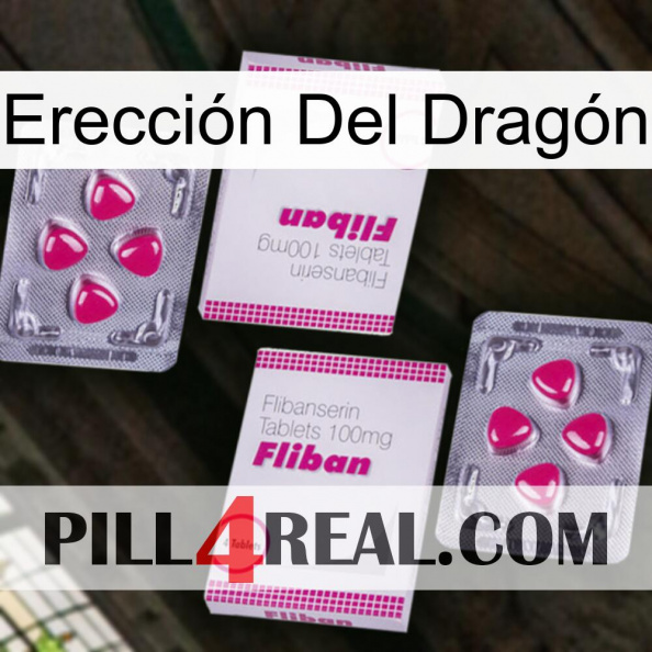 Erección Del Dragón 33.jpg